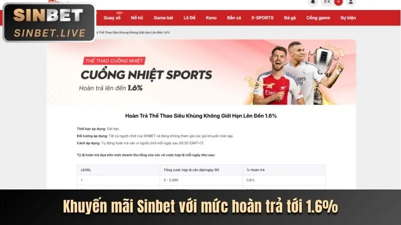 Phiếu cược thể hiện nhiều lựa chọn cá cược khác nhau trên nohu77